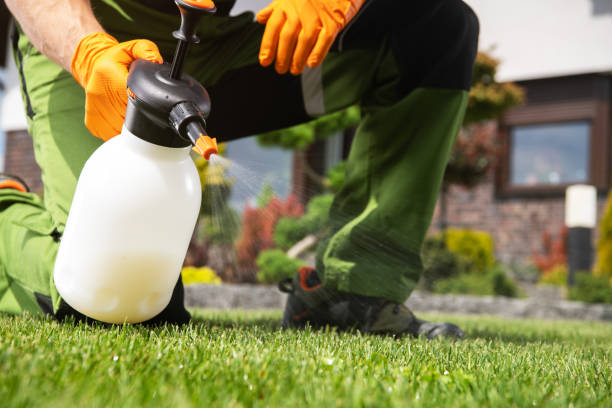 Best Best Pest Control Companies  in Clarion, IA