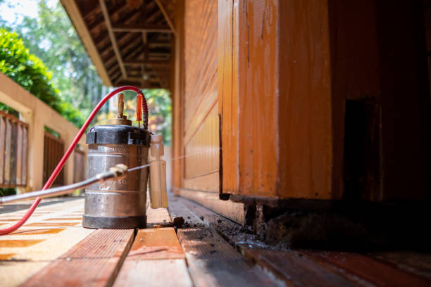 Best Termite Control Services  in Clarion, IA