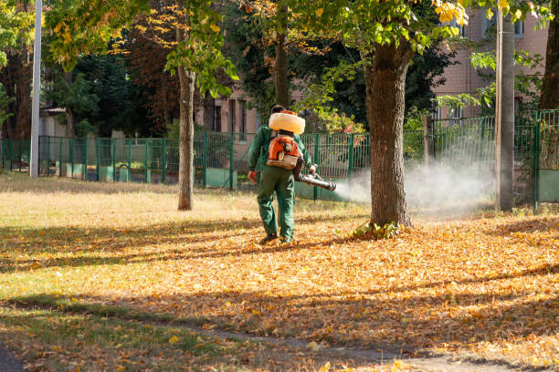 Best Pest Control Near Me in Clarion, IA
