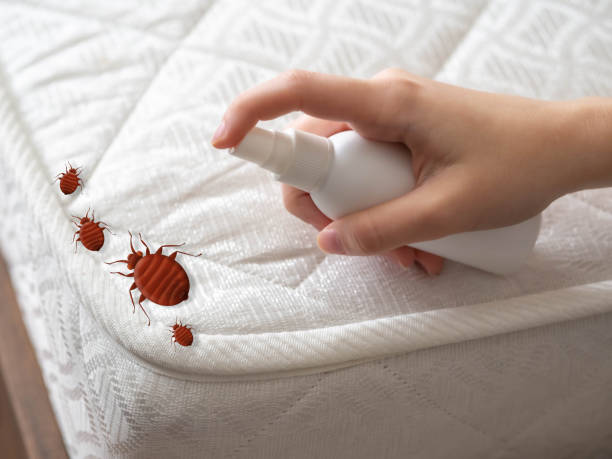 Best Best Pest Control Companies  in Clarion, IA