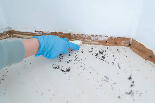 Trusted Clarion, IA Pest Control Experts