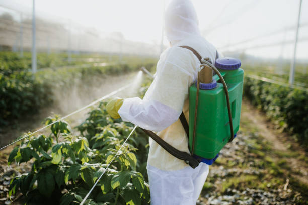 Best Pest Control Near Me  in Clarion, IA